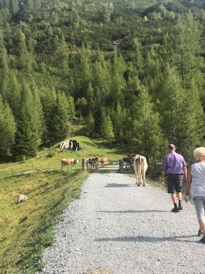 Gaestehaus Marianne Baier Zederhaus Eksteriør billede