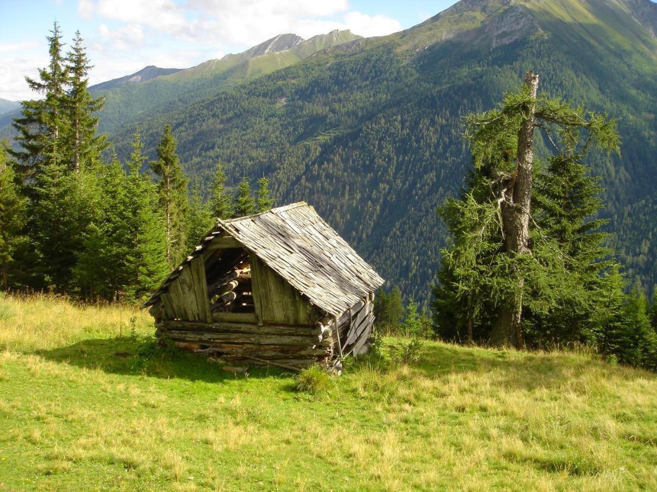 Gaestehaus Marianne Baier Zederhaus Eksteriør billede